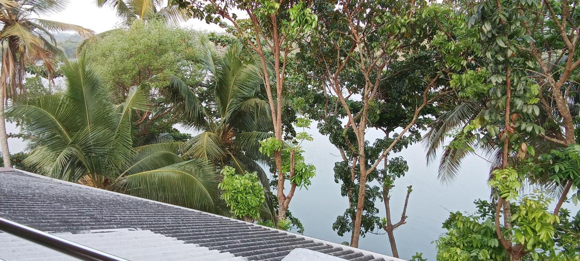 The Green Lagoon Villa Hikkaduwa Exterior foto